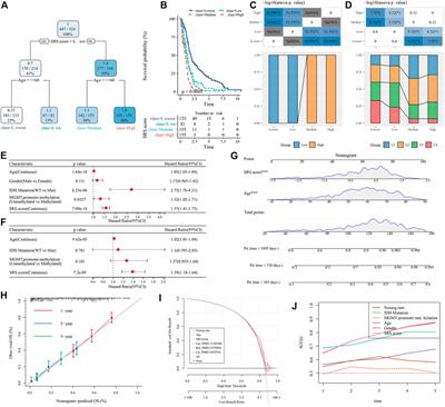 Establishment of a cell senescence related prognostic model for predicting prognosis in glioblastoma